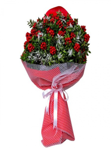 Kucak Dolusu Kokina Buketi