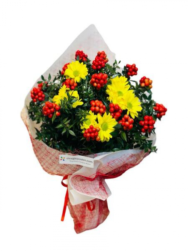 Dolu Dolu Kokina ve Papatya Buketi