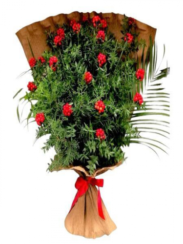 24`lü Kokina Demeti