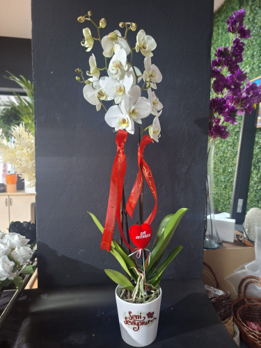 ÇİFT DAL BEYAZ ORKİDE SERAMİKTE